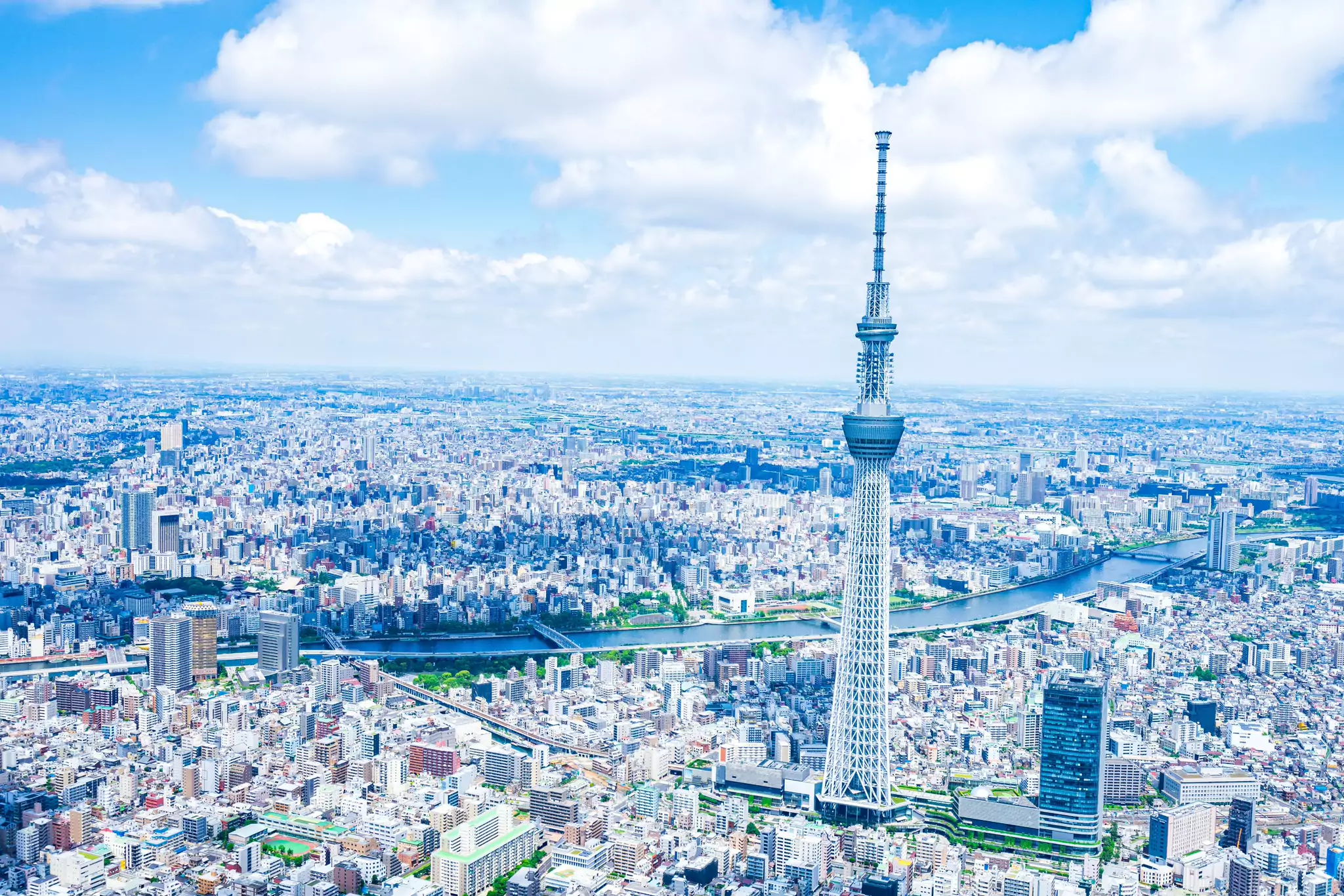 青空の下に広がる街並みの俯瞰