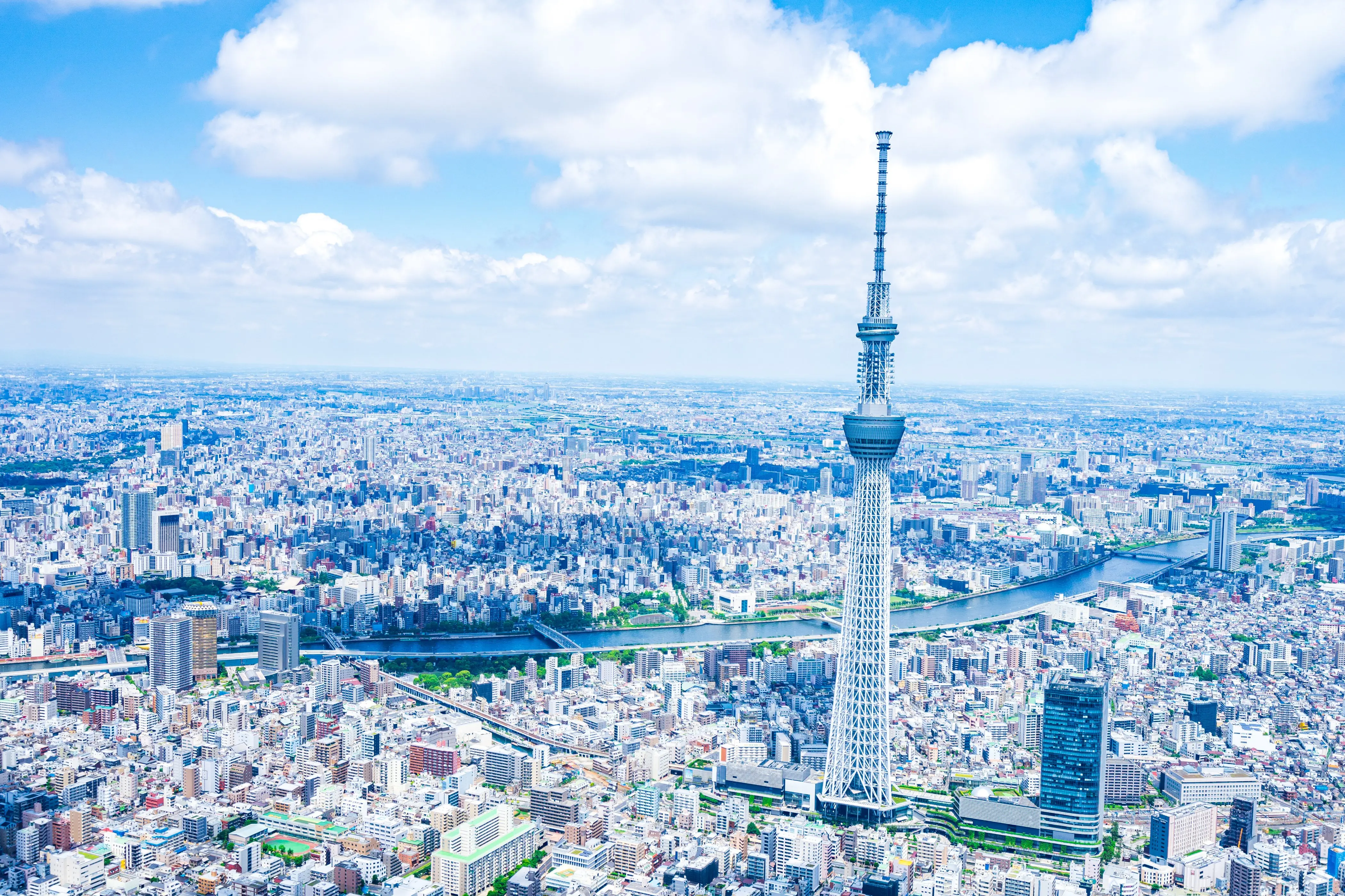青空の下に広がる街並みの俯瞰